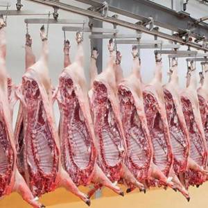 buy pork carcass, bulk pork for sale, pork for sale online
