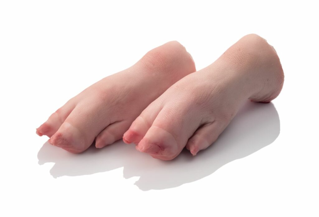 Buy Pork Trotters Wholesale | B2B Sourcing Guide 1 buy pork trotters online, pork trotters for sale, pork trotters wholesale, where to buy pig trotters