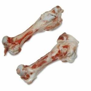 beef femur bone for sale, pork femur bones for dogs