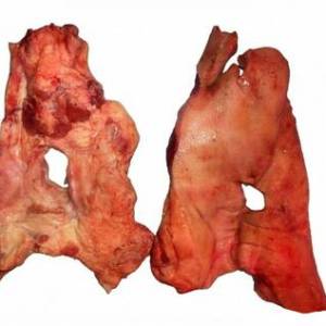 pork mask where to buy, pork mask frozen, pork mask