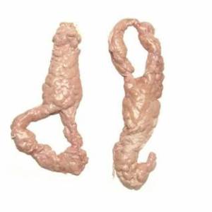 wholesale pork belly distributors, buy whole pork belly online, pork belly supplier near me