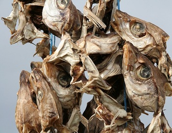 DRY FISH STOCK HEAD - Image 3