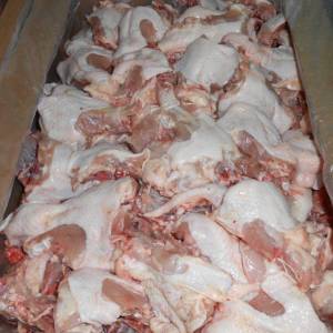 Chicken Backs for Sale – Buy in Bulk from Trusted Suppliers - Image 2